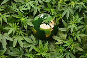 Cannabis leaves forming a protective layer around the globe, highlighting the global impact of medical cannabis
