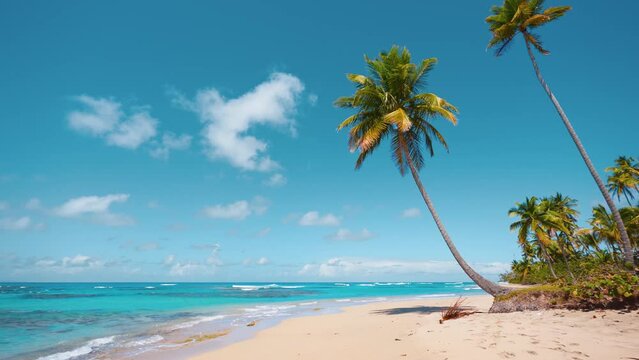 Hawaiian sandy beach with palm trees on a tropical island on a sunny day with blue sky. Idyllic tropical paradise landscape with colorful flowers. Turquoise transparent waves on yellow sand.
