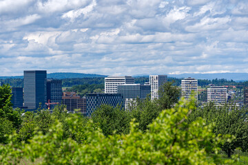 Scenic landscape with skyline and skyscrapers int the background at Swiss City of Zürich north part on a sunny spring day. Photo taken May 19th, 2024, Zurich, Switzerland.