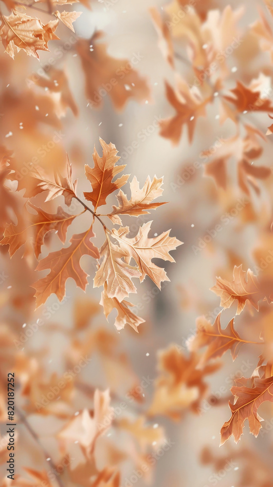 Poster autumn leaves in a warm light bokeh - soft focus photograph of dry leaves in autumn with a warm boke