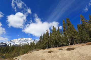 Banff National Park