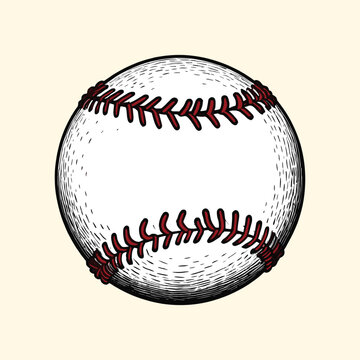 Hand Drawn Softball Illustration Baseball Engraved Style