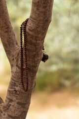 rudraksh on nature background. girl's hand with an energy bracelet on the background of nature and trees. background. energy stones. meditation