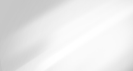 Glare from the sun's rays on the wall. Blurred shadows from leaves and plants in the room. Soft overlay of natural light. Abstract background for product presentation.Natural light layout.