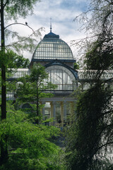 Photograph of the Crystal Palace in El Retiro park. Architecture. City of Madrid. Green area. European tour