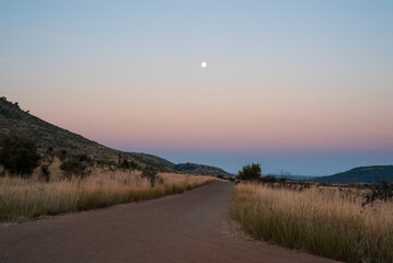 Dusk at Pilanesberg National Park in South Africa