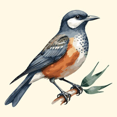 Watercolor Birds Sitting on a Branch Illustration Style