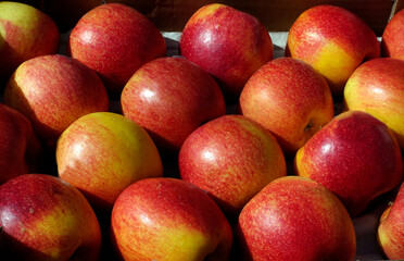 Stack of red apples at a farmers market