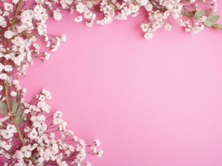 Fototapeta premium Gypsophila flowers arranged into a frame on pink