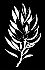 Simple white graphic drawing of magnoli flower against black background, logo