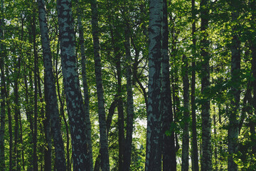 Images from a day in May 2024 at Steinberg Open Air Museum, Toten, Norway.