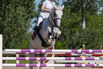 Show jumping competition on horseback. Horse Jumping, Equestrian Sports, Show Jumping themed photo.
