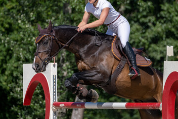 Show jumping competition on horseback. Horse Jumping, Equestrian Sports, Show Jumping themed photo.
