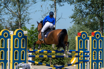 Show jumping competition on horseback. Horse Jumping, Equestrian Sports, Show Jumping themed photo.
