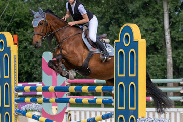 Show jumping competition on horseback. Horse Jumping, Equestrian Sports, Show Jumping themed photo.
