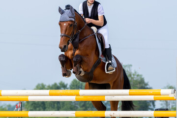 Show jumping competition on horseback. Horse Jumping, Equestrian Sports, Show Jumping themed photo.
