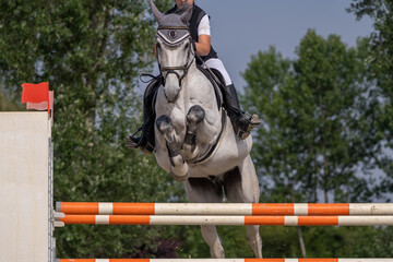 Show jumping competition on horseback. Horse Jumping, Equestrian Sports, Show Jumping themed photo.
