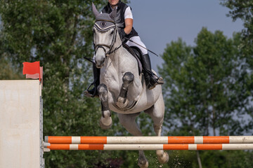 Show jumping competition on horseback. Horse Jumping, Equestrian Sports, Show Jumping themed photo.
