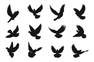 Dove silhouette vector art white background