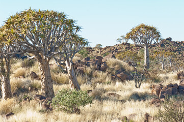 Namibia