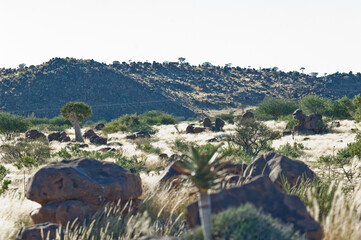 Namibia