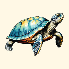  Watercolor Turtle Hand Drawn Illustration Style