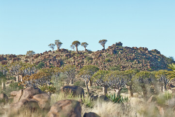 namibia 
