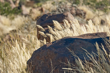 Namibia