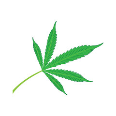 marijuana leaf icon vector illustration design template