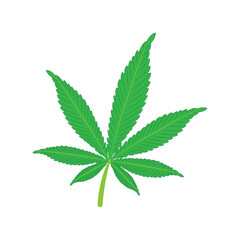 marijuana leaf icon vector illustration design template