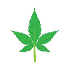 marijuana leaf icon vector illustration design template