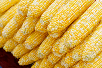 Fresh Pile of Yellow Corn Cobs at Outdoor Market During Daytime