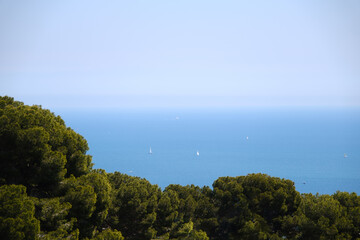 Schiffe auf dem Mittelmeer hinter Bäumen