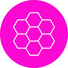 Hexagon Icon