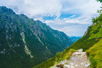 Scenic Mountain Trail in Zakopane's High Tatras, Poland with Vibrant Wildflowers