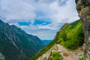 Scenic Mountain Trail in Zakopane's High Tatras, Poland with Vibrant Wildflowers