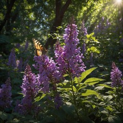 Butterfly finds solace on vibrant purple flowers, basking under sunlight that filters through lush greenery of tranquil forest. Wings, adorned with intricate patterns.