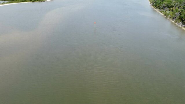 Drone shot of dolphins playing in the intercoastal 