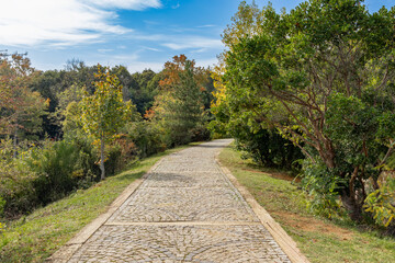 Path or road in Atatürk Arboretum, a beautiful view among the greenery