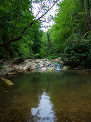 Golderesi waterfall and forestroad are so beautifull in spring.