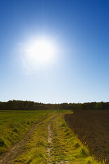 spring walk through meadows and forests