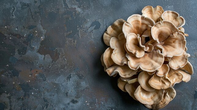 Top View of Fresh Maitake Mushrooms on Dark Rustic Background, Organic Natural Texture with Copyspace, Ideal for Culinary and Health Content, Perfect for Recipe Blogs and Food Photography