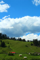 A green field with trees and a blue sky with clouds