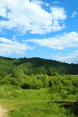 Obraz premium A landscape with trees and hills