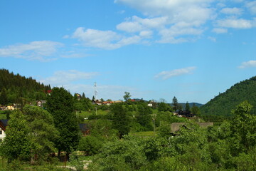 A landscape with trees and buildings