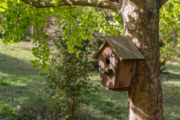 A bird's nest hanging on a tree branch in Atatürk Arboretum.