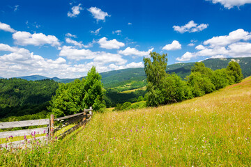 fence on the grassy hill in rural area of ukraine. countryside scenery in carpathian mountains....