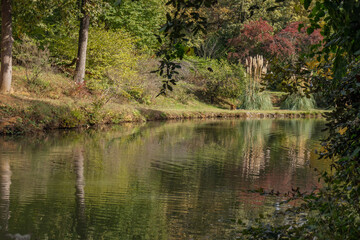 It is a very beautiful lake among the greenery in Atatürk Arboretum.