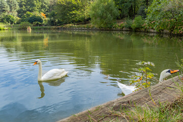 Atatürk Arboretum is a magnificent park where nature shows itself in all its colours. water...