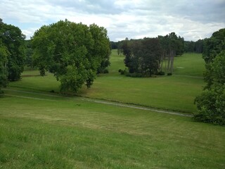 trees in the historic landscape style park